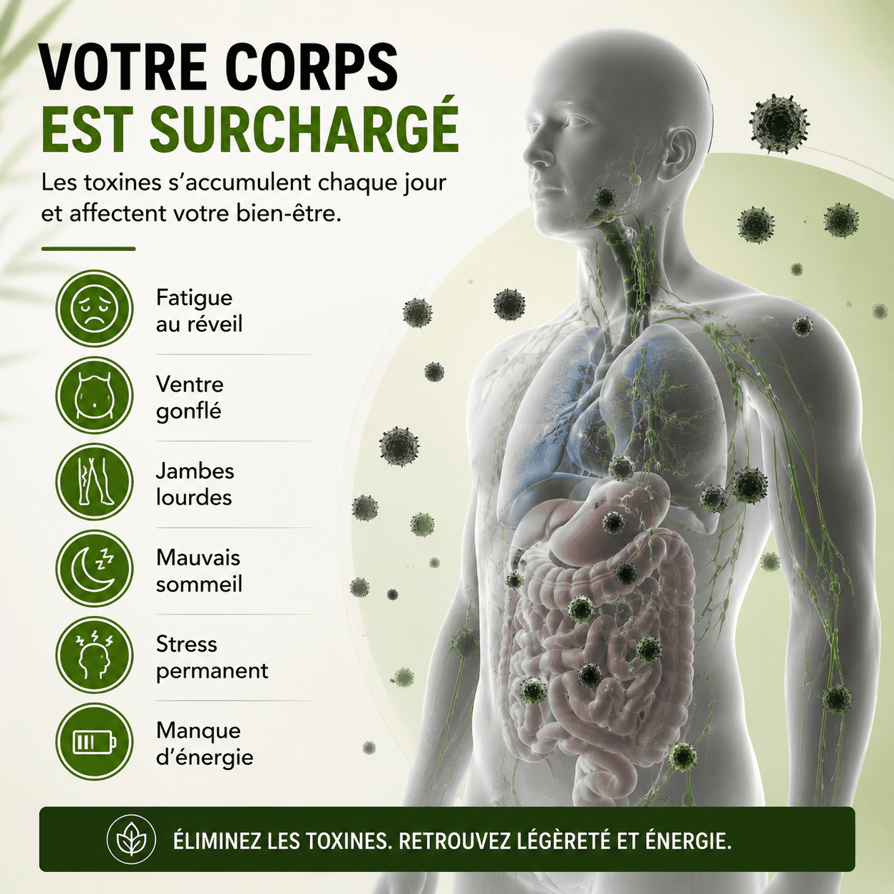 Patchs Japonais — Detoxifiez votre corps pendant la nuit