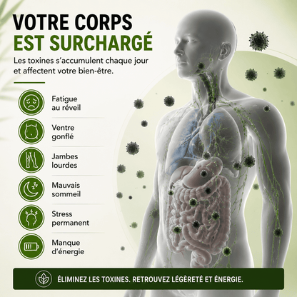 Patchs Japonais — Detoxifiez votre corps pendant la nuit
